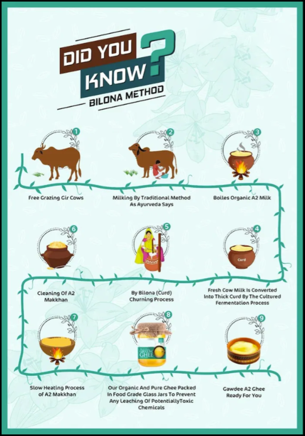 A2 Gir Cow Ghee,100% Natural Desi Ghee, Bilona Churned Traditional Clarified Butter for Indian Cooking & Sweets