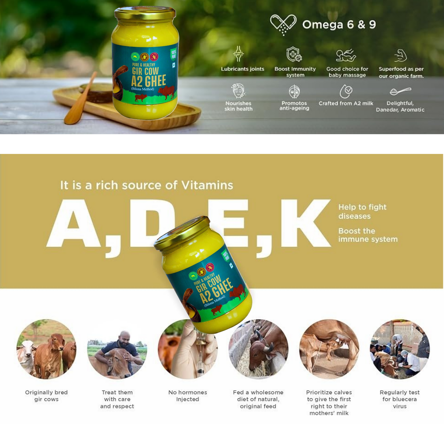 A2 Gir Cow Ghee,100% Natural Desi Ghee, Bilona Churned Traditional Clarified Butter for Indian Cooking & Sweets